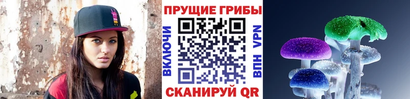 Псилоцибиновые грибы Psilocybe  Берёзовка 